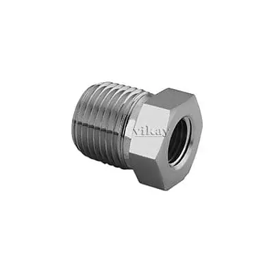 Reducing Bushing (1 Inch x 11.5) x (3/8 Inch x 18) - SS 316 Instrumentation Pipe Fittings - Master