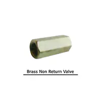 Brass Non Return Valve - Brass Valves and Fittings - Master